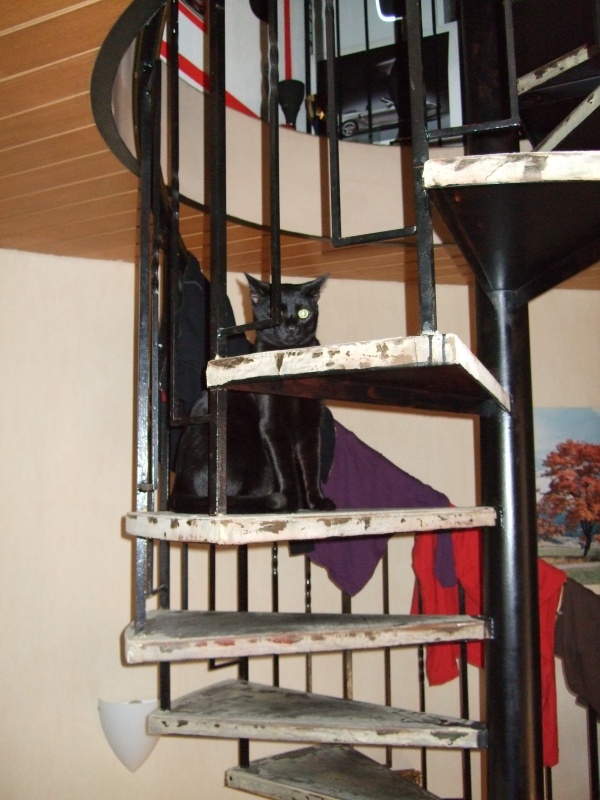 Ostern 2007 Orleshausen 048 